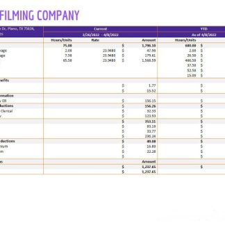 Federal Government of Nigeria employee payslip template in Word and PDF formats.pdf, 1 download template file