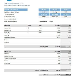 Filming company pay stub template in Word and PDF formats download template file