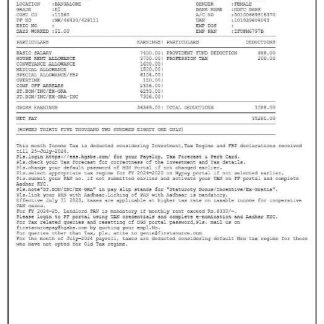 financial avenue pay stub Word and PDF template download template file