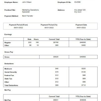 Financical services payslip template in Excel and PDF formats download template file