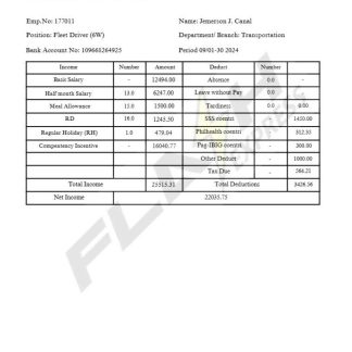 Firstsource Solutions payslip template in Word and PDF formats.pdf, 1 download template file
