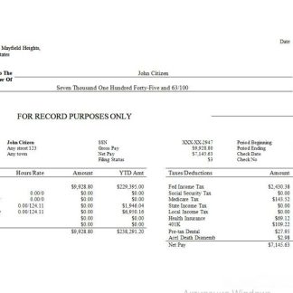 Flash Express Co. payslip template in Word and PDF formats.pdf, 1 download template file