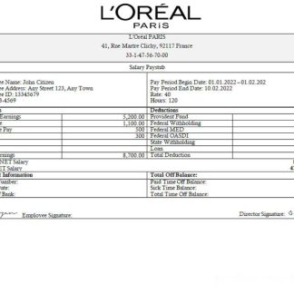 food meat company earning statement in Excel and PDF formats download template file