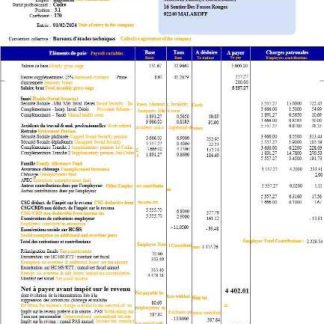 forestry company payslip template in Word and PDF formats download template file