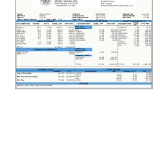 France payslip (in French language) template in Word and PDF formats.pdf, 1 download template file