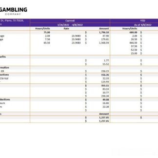 Freedom Care LLC pay stub template in Word and PDF formats.pdf, 1 download template file