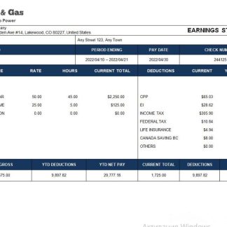 Galveston County Payroll Check Stub download template file