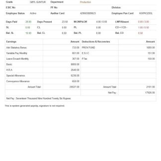 Gandy Installations earnings statement template in Word and PDF formats.pdf, 1 download template file