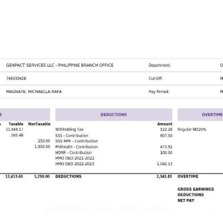 Gaylor Electric statement of earnings and deductions   pay stub.pdf, 1 download template file