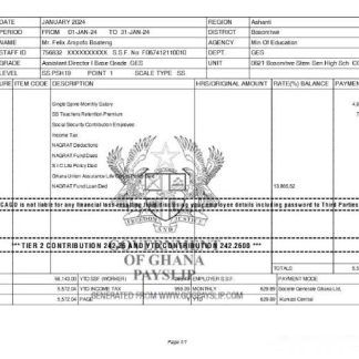 Genius Consultants payslip template in Word and PDF formats.pdf, 1 download template file