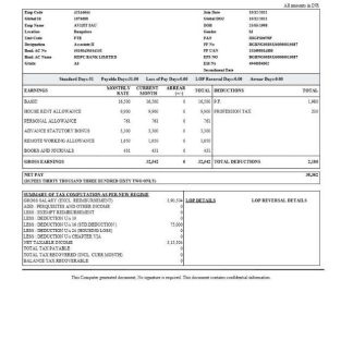 GEORGIA TECH pay stub Word and PDF template download template file