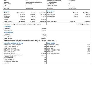 Ghana Controller and Accountant General's Department payslip template in Word and PDF formats.pdf, 1 download template file