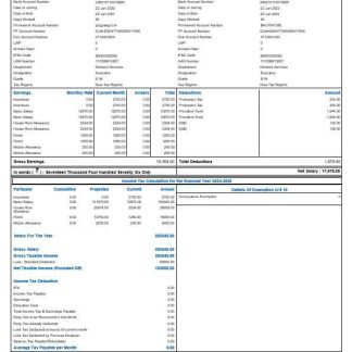 GlaxoSmithKline pharmaceutical company payslip template in Word and PDF formats.pdf, 1 download template file