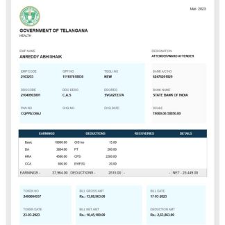 GOLDEN LIMOUSINE pay stub in PDF and Words format download template file