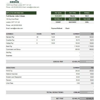 Government of Andhra Pradesh Paystub download template file