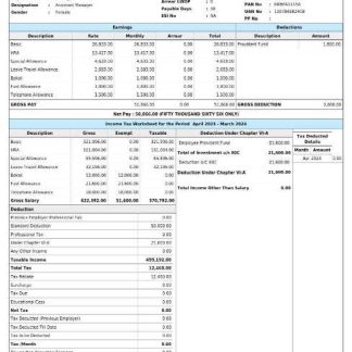 Grand Railway company paystub template in Word and PDF formats download template file