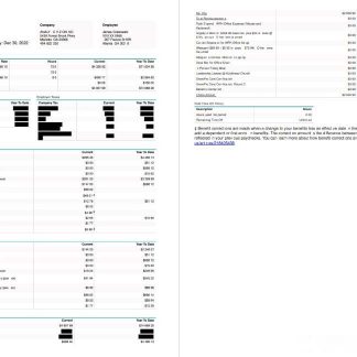 green industry earning statement template in Excel and PDF formats download template file