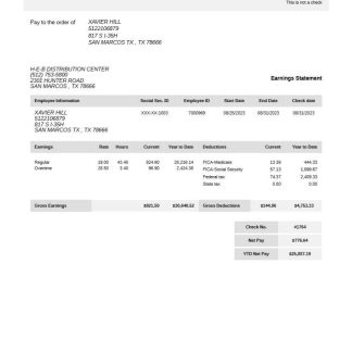 Guava payslip template in Word and PDF formats.pdf, 1 download template file