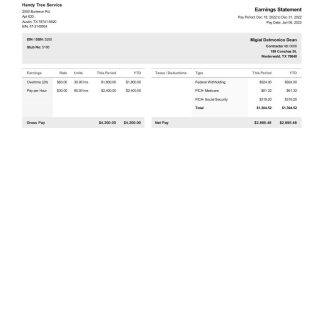 H E B Distribution Center earning statement template in Word and PDF formats.pdf, 2 download template file