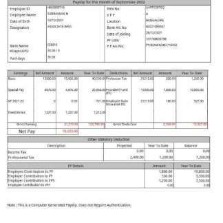 H E B Distribution Center earning statement template in Word and PDF formats.pdf, 3 download template file