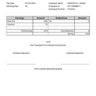 HDB Financial Services payslip template in Word and PDF formats.pdf, 1 download template file