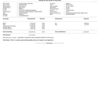 health services company paystub template in Word and PDF formats download template file