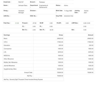 Home Care Servic personal earning statement template in Word and PDF formats.pdf, 1 download template file