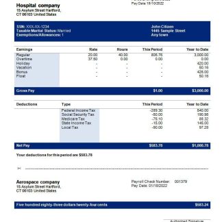 Home Credit Paystub download template file