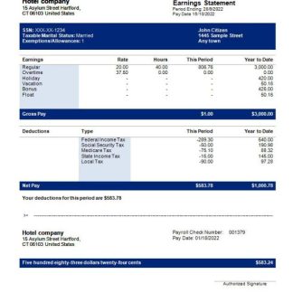 Horizon Packs payslip template in Word and PDF formats.pdf, 1 download template file