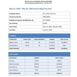 hospital company earning statement in Word and PDF formats download template file
