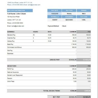 Hourly Wage Pay Stub Template download template file