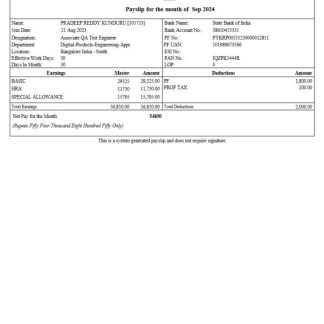 Hourly wage paystub Word and PDF template, version 2 download template file