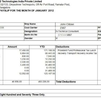 HP HEWLETT Packard GlobalSoft Pvt.Ltd payslip in Word and PDF formats download template file