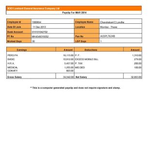 hunting company paystub template in Excel and PDF formats download template file