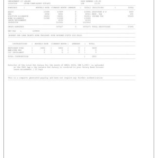 Huron Eurasia India payslip template in Word and PDF formats.pdf, 1 download template file