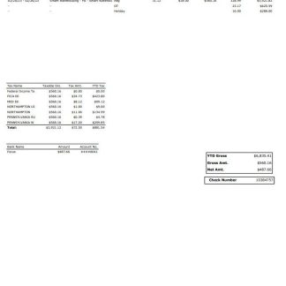 IHSS In Home Supportive Services earnings statement template in Word and PDF formats.pdf, 1 download template file