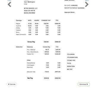 Iifl Finance payslip template in Word and PDF formats.pdf, 1 download template file