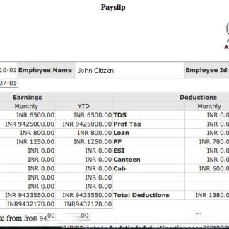 IN THE GROOVE, LLC earnings statement template in Word and PDF formats.pdf, 1 download template file