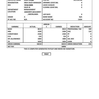 Ind Sphinx Precision (Tool manufacturer) payslip template in Word and PDF formats.pdf, 1 download template file