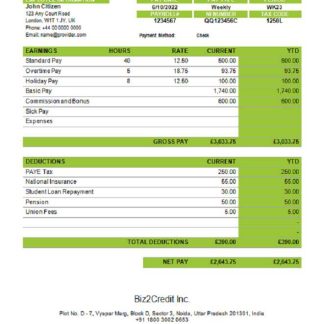 INDIA ADHI Software company payslip template in Word and PDF formats download template file