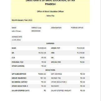 INDIA COGNIZANT Technology Solutions India Private Ltd payslip in Word and PDF formats download template file