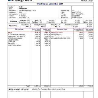 INDIA GLOBIVA Services PVT LTD payslip in Word and PDF formats download template file