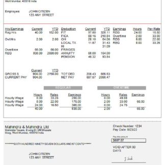 INDIA INTELENET Global Services Limited payslip in Word and PDF formats download template file