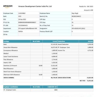AM NS India Paystub download template file