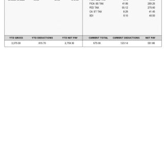 Amazon Development Center India payslip template in Word and PDF formats.pdf, 1 download template file