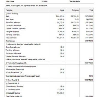 INDIA THOMSON Reuters India Services Private Limited payslip template in Word and PDF formats download template file
