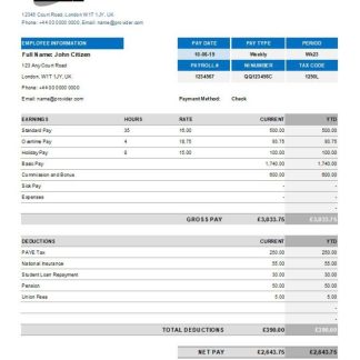 INDIA ZYLKER corporation payslip template in Word and PDF formats download template file
