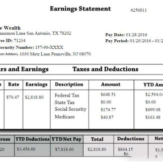 industrial robot company earning statement in Excel and PDF formats download template file