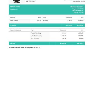Amazon Paystub download template file