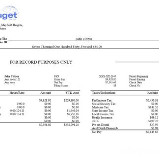 Infineon Technologies payslip template in Word and PDF formats.pdf, 1 download template file